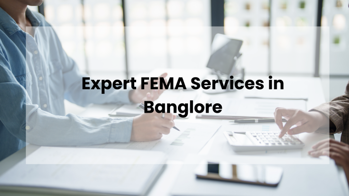 FEMA services in Bengaluru
